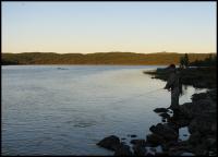 Bifogad bild: norge2010augusti193.jpg